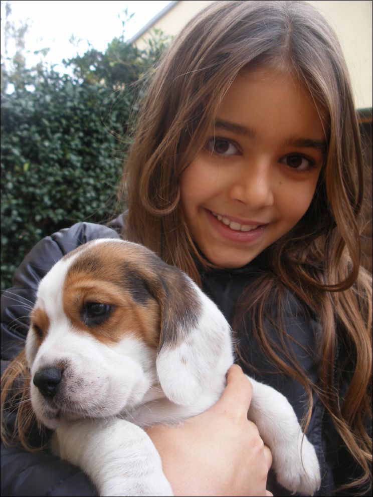 cuccioli amelie-68